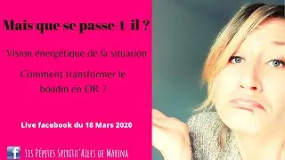 Confinement, virus : Mais que se passe-t-il ? Vision énergétique ➡️ Transformer le boudin en OR 💪🌟😎