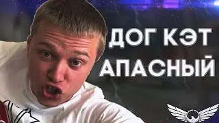 Апасный канал –  Дог, Кэт (by Mr.Argentavis)