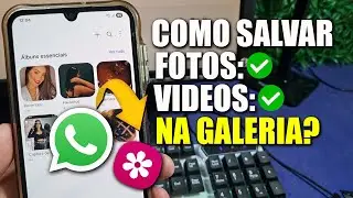 Como salvar fotos e vídeos do whatsapp na galeria | Passo a Passo