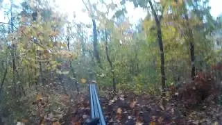 26.10.19г Épagneul Breton-"Jekky"/"DISS- DON FIELD SPIRIT" Охота на вальдшнепа