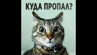 Куда пропал Бен?