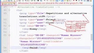 Auto-Propagation and Alternative Translations in OmegaT