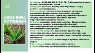 Целительная сила Алоэ Вера.