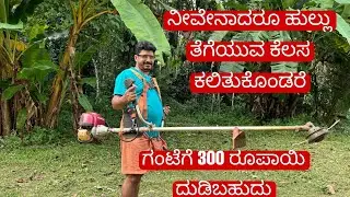 ನೀವೇನಾದರೂ ಹುಲ್ಲು ತೆಗೆಯುವ ಕೆಲಸ ಕಲಿತುಕೊಂಡರೆ ಗಂಟೆಗೆ 300 ರೂಪಾಯಿ ದುಡಿಯಬಹುದು