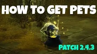 Diablo 3 - HOW TO FIND PETS REALLY FAST!!! - PWilhelm