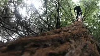 Among Giants Teaser