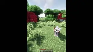 Minecraft Moment
