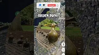 i found giant golden duck on Google map and google earth #googleearth #earth #map #viral