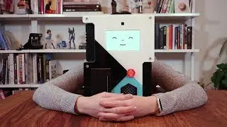 Raspberry Pi SelfieBot: Selfie Camera with a Personality