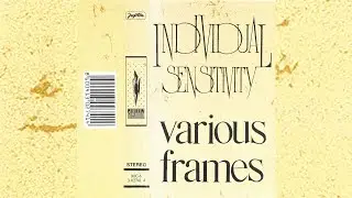 Individual Sensitivity - Various Frames [1990]
