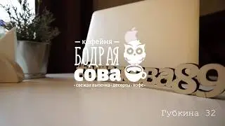 Бодрая сова | WORKING STUDIO