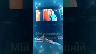 Мій домашній крокодил 🐊 #крокодил #круто #лайк #2023 #актив #гдеактив #едіт #топ #фільм #актор #вау