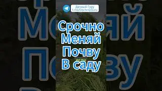 Срочно Поменяй Землю В Саду! #грядки #почва #дача #огород #сад #урожай #садоводство #подкормка