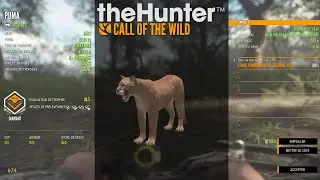THEHUNTER COTW #74 CHASSE À L'ARC SUR LA RÉSERVE DE PARQUE FERNANDO