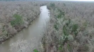 Searching for Ivory-billed Woodpeckers with a Drone (Part 2)