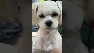 Most funny moments of the week 🤣😄 // Funny memes videos 😆