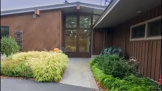 Tour my parents' garden 🌿 Ornamental grasses at their peak!