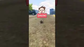 GTA 5 BUT IF I BITE SOMEONE I WILL TURN INTO A RANDOM ANIMAL 🤯 