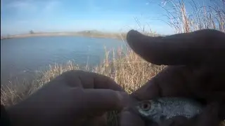 рыбалка в начале ноября разведка старого места