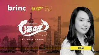 New Singularity - Brinc Fall '20 Virtual Demo Day