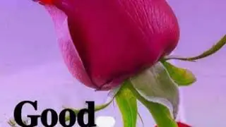 Technical Binod