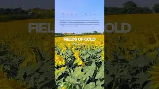 FIELDS OF GOLD on Guitar 2/2. TABS GuitarMe School Aleksunder Chuiko 