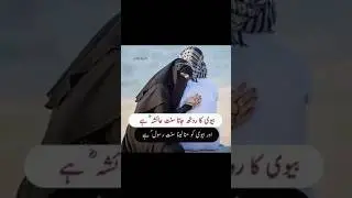 Romantic poetry dp | Sad poetry dp | Attitude poetry dp | #poetrydpz