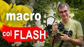 Macrofotografia con Flash: Tutorial per Foto Macro di Insetti, Fiori…