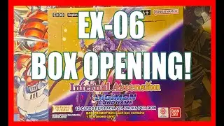 EX-06 Box Opening!
