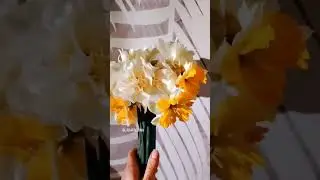 Как же они хороши! 💚 