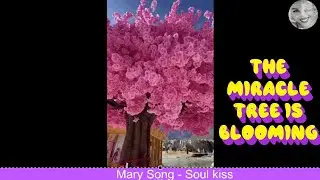 The miracle tree is blooming