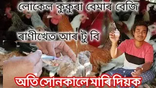 লোকেল কুকুৰা বেমাৰ বেজি #assamesevideo