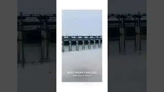 Headballoki | River View #river #water #watersounds #nature