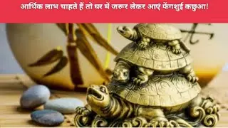 आर्थिक लाभ चाहते हैं तो घर में जरूर लेकर आएं फेंगशुई कछुआ!