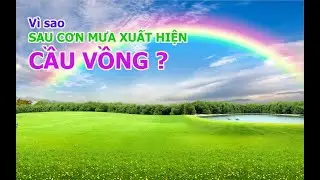 Tại sao sau cơn mưa lại có cầu vồng?#cầuvồng