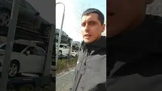 Цветущая Сакура 9 апрлея 