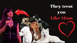 4 signs your dog considers you its mother! 🐾🐶💖