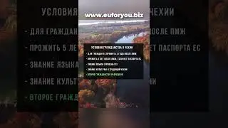 Чехия vs Словакия: этапы получения гражданства  