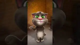 Talking Tom says Cake
