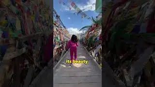 Israelis Clean Streets in India! We Need To Learn From Them? #shorts #cleaning