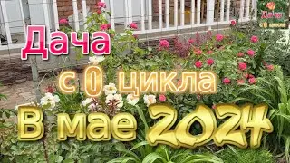 В мае 2024