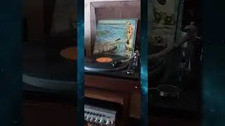 #music  #vinilos