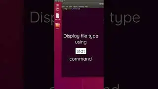 Display file type using stat command in Linux