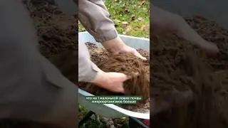 Микроорганизмы в почве 