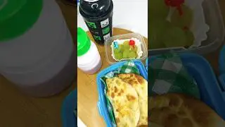 Iniciando a semana com essa lancheira suculenta 👦🏻🩵 #lunchbox #lancheiraescolar #lancheira