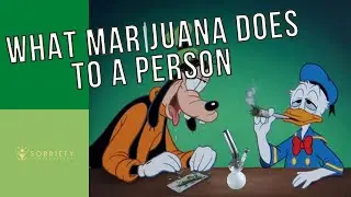 What Marijuana REALLY Does To A Person