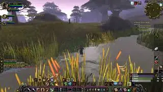 World of Warcraft Classic Ding To Level 25 Season of Discovery Phase 1 4k