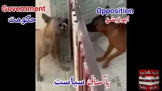 Politicians in Pakistan #shorts