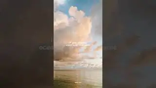 Taylor Swift - peace (Lyrics)