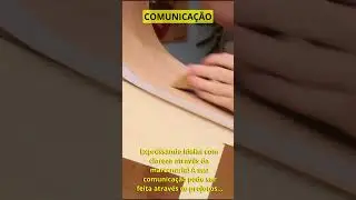 Comunicação - Você sabe ser objetivo? #DIY #oficinadecasa